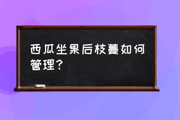 西瓜嫁接好后前几天管理方法 西瓜坐果后枝蔓如何管理？