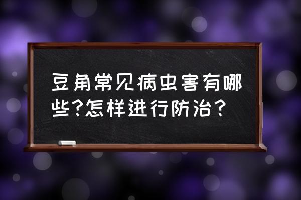 豆角病虫害图谱及防治 豆角常见病虫害有哪些?怎样进行防治？