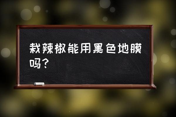 辣椒专用覆膜机 栽辣椒能用黑色地膜吗？