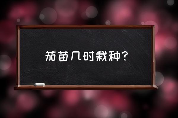 茄子育苗移栽好还是直播好 茄苗几时栽种？