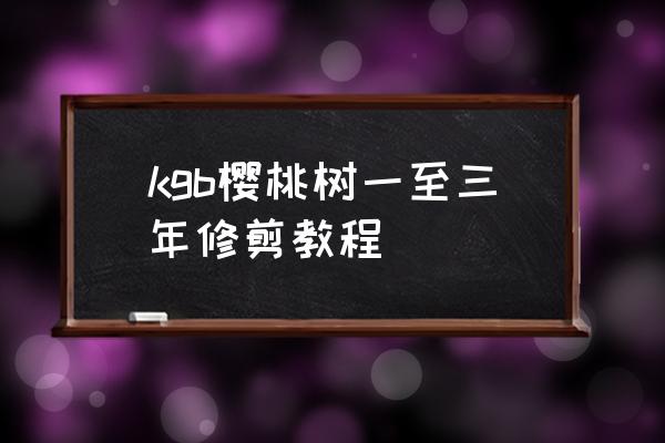 好用的园林枝剪排行 kgb樱桃树一至三年修剪教程