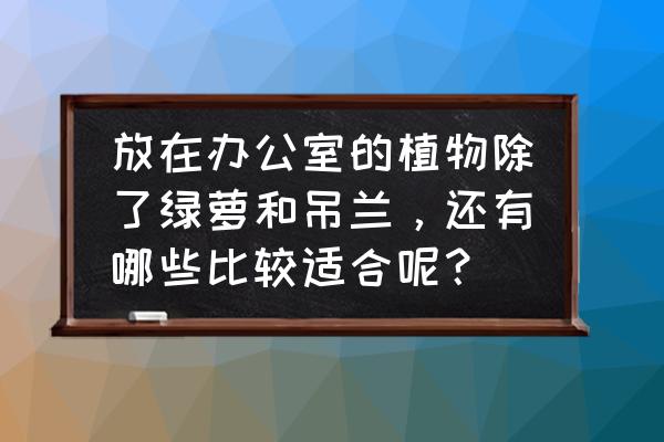 森林妖精青叶的漫画书在哪 放在办公室的植物除了绿萝和吊兰，还有哪些比较适合呢？