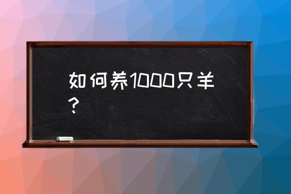 新手养育肥羊教程 如何养1000只羊？