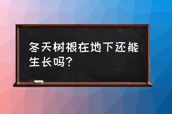 根系怎样吸收空气中养分 冬天树根在地下还能生长吗？