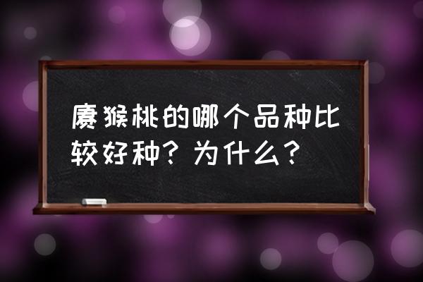 猕猴桃好坏鉴别方法 猕猴桃的哪个品种比较好种？为什么？