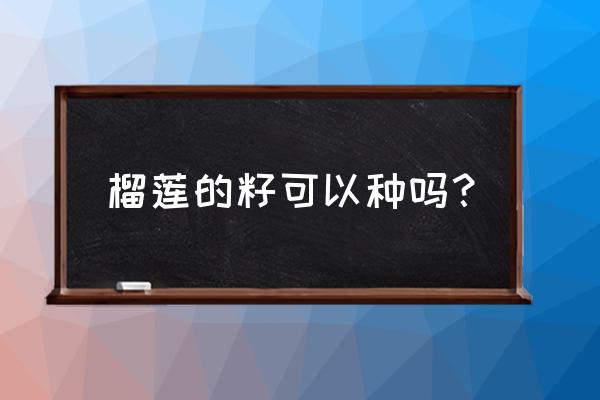 榴莲种子怎么种才能活 榴莲的籽可以种吗？