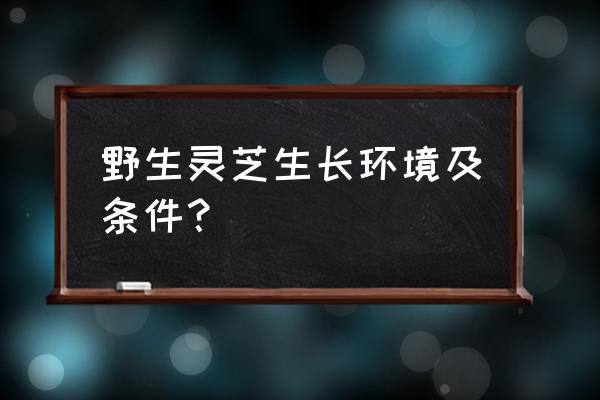 怎样找灵芝最快 野生灵芝生长环境及条件？