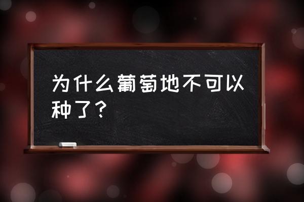 葡萄树招蛇怎么处理 为什么葡萄地不可以种了？