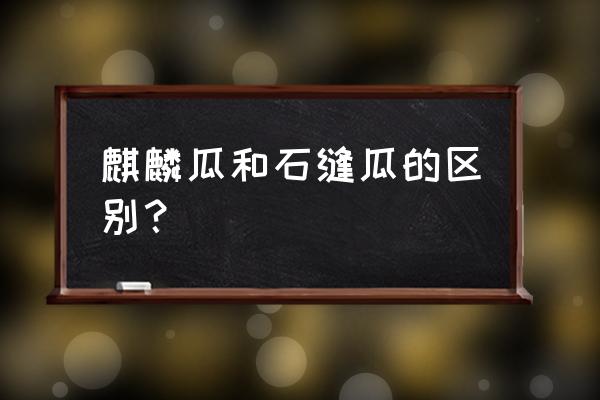 和西瓜功效一样的中药 麒麟瓜和石缝瓜的区别？