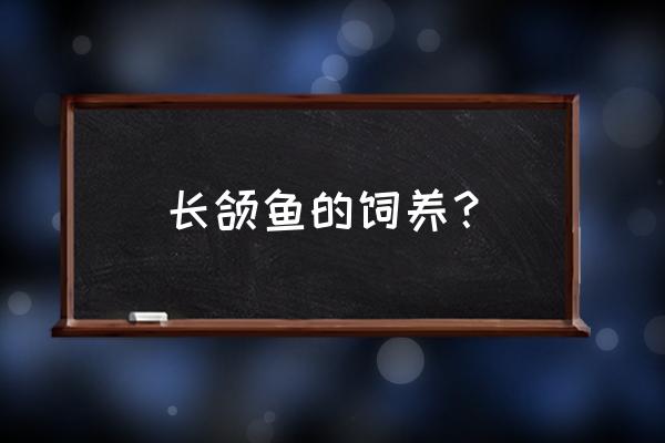 如何喂养鱼塘的鱼并且快速长大 长颌鱼的饲养？