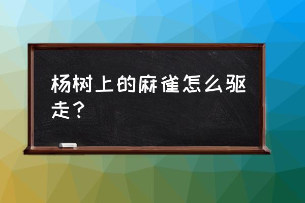 大乱斗稻草人假人怎么放 杨树上的麻雀怎么驱走？