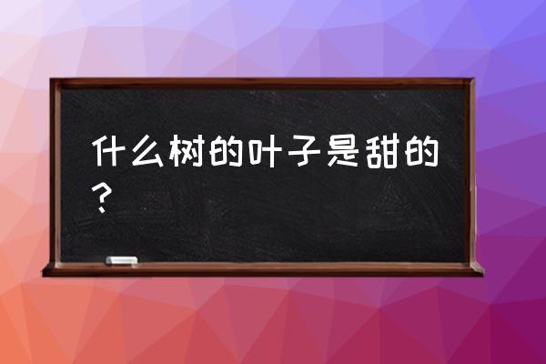 家庭甜叶菊种子的种植方法 什么树的叶子是甜的？