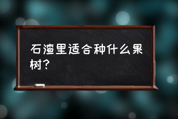 栗子树适合在家中栽种吗 石渣里适合种什么果树？