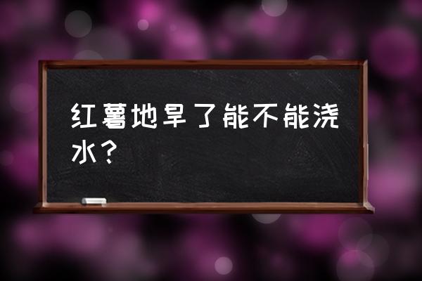 渗灌的正确方法 红薯地旱了能不能浇水？