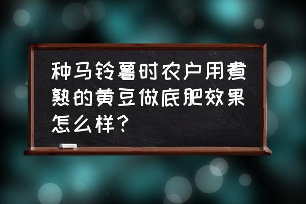 刚种好的土壤怎么补救好 种马铃薯时农户用煮熟的黄豆做底肥效果怎么样？