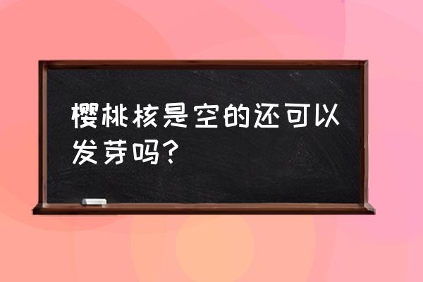 教你一招快速巧去樱桃核 樱桃核是空的还可以发芽吗？