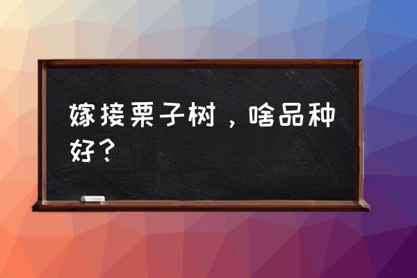 板栗树到底什么树形产量最高 嫁接栗子树，啥品种好？