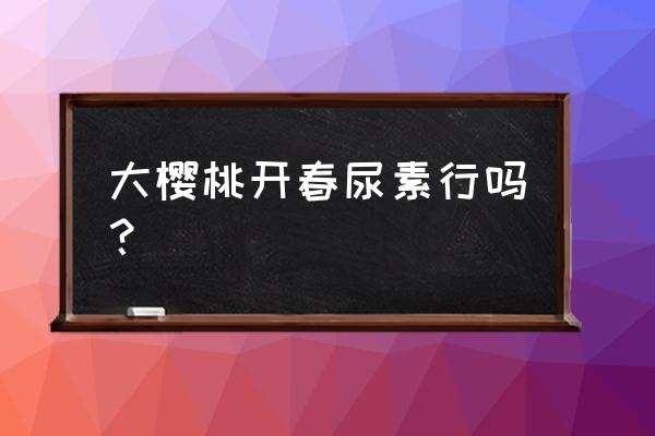 大樱桃春季田间管理 大樱桃开春尿素行吗？