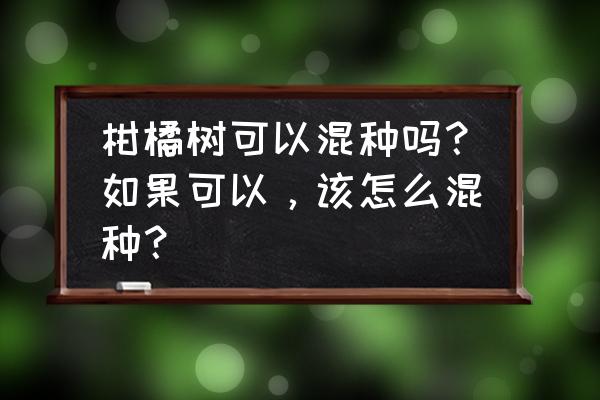 种四棵树每棵树距离相等怎么种 柑橘树可以混种吗？如果可以，该怎么混种？