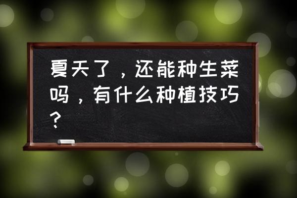 夏季美白瘦身果蔬 夏天了，还能种生菜吗，有什么种植技巧？