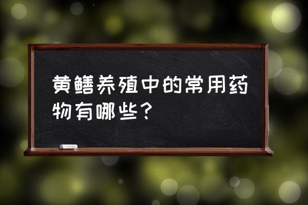 黄鳝三种常见病的防治方法 黄鳝养殖中的常用药物有哪些？