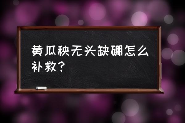 农作物缺硼怎么补救 黄瓜秧无头缺硼怎么补救？