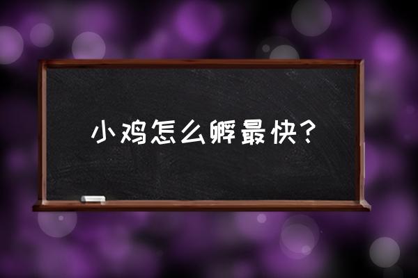 小鸡孵化的全部过程 小鸡怎么孵最快？