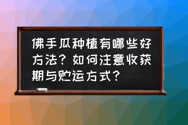 佛手瓜种植的时间与方法 佛手瓜种植有哪些好方法？如何注意收获期与贮运方式？