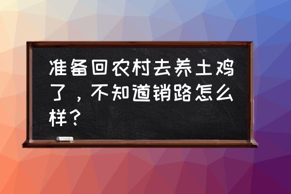 养鸡有销售出路吗 准备回农村去养土鸡了，不知道销路怎么样？