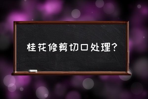 短截修剪的操作技法有哪些要点 桂花修剪切口处理？