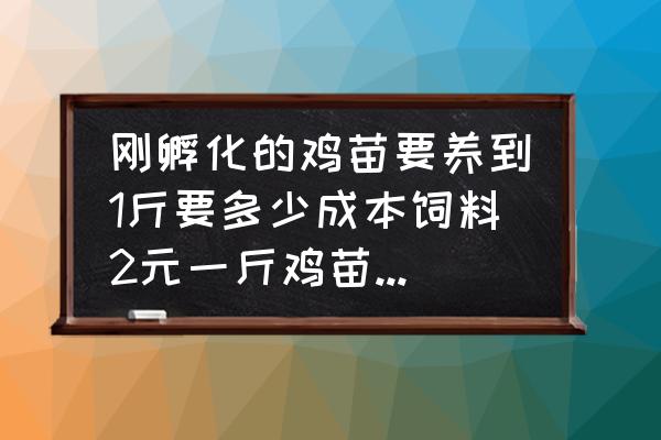 散养土鸡一万只成本多少钱 刚孵化的鸡苗要养到1斤要多少成本饲料2元一斤鸡苗4元一羽？