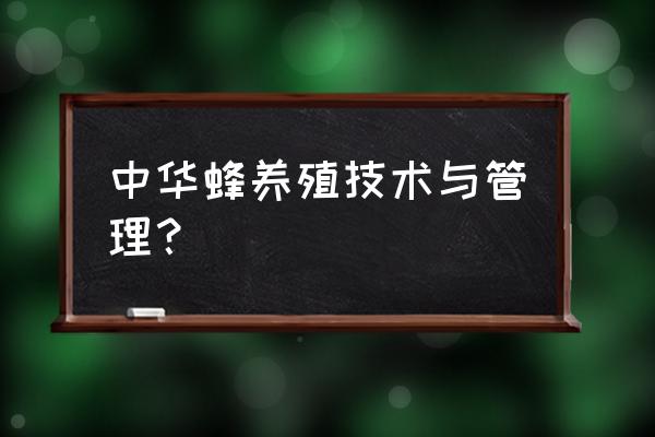 蜜蜂该怎么养 中华蜂养殖技术与管理？