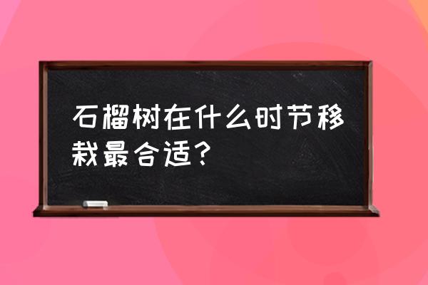 悠久之树怎么注册 石榴树在什么时节移栽最合适？