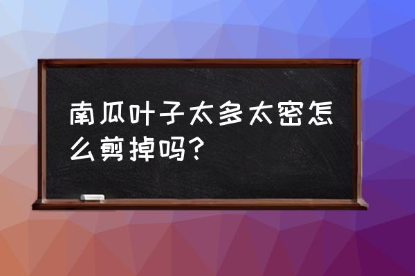 爬地南瓜的剪枝技术 南瓜叶子太多太密怎么剪掉吗？