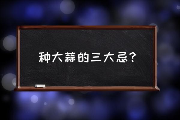 农村如何种蒜长得最好 种大蒜的三大忌？