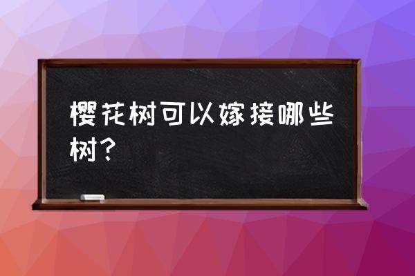 樱花校园桃子组的基地怎么进去 樱花树可以嫁接哪些树？