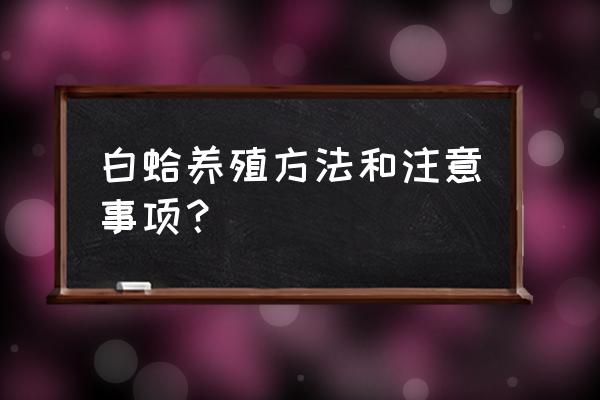 环世界如何圈养宠物 白蛤养殖方法和注意事项？