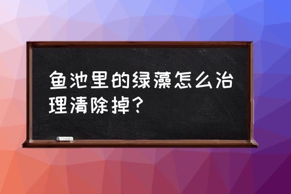 户外鱼池解决绿藻最好的办法 鱼池里的绿藻怎么治理清除掉？