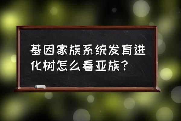 系统发育树怎么分析 基因家族系统发育进化树怎么看亚族？