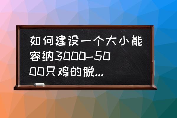 养500鸡大棚需要多大位置 如何建设一个大小能容纳3000-5000只鸡的脱温鸡舍？