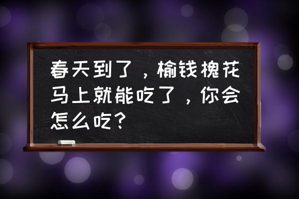 槐花的最佳吃法山西 春天到了，榆钱槐花马上就能吃了，你会怎么吃？