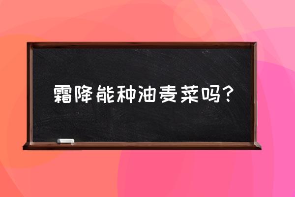 夏天能种生菜吗怎么搭棚呢 霜降能种油麦菜吗？