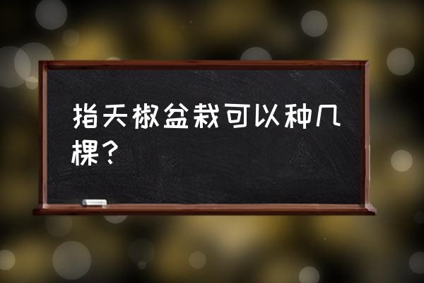 盆栽朝天椒种植方法与技术 指天椒盆栽可以种几棵？