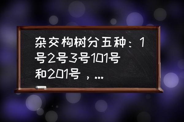 杂交构树一二三号有什么区别 杂交构树分五种：1号2号3号101号和201号，养猪羊该种哪一种？