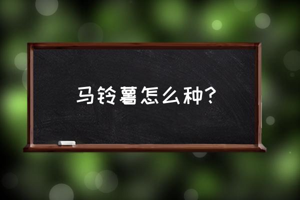 土豆最新种植方法及肥料的用法 马铃薯怎么种？