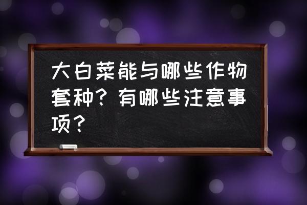 香菜重茬种植解决办法 大白菜能与哪些作物套种？有哪些注意事项？