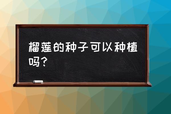 用水果种子做盆栽教程 榴莲的种子可以种植吗？