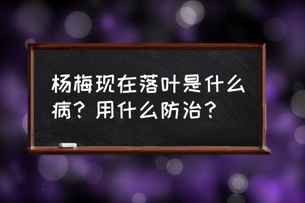 杨梅树防治哪些病 杨梅现在落叶是什么病？用什么防治？