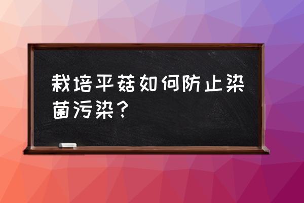 如何防止菌种污染与衰退 栽培平菇如何防止染菌污染？