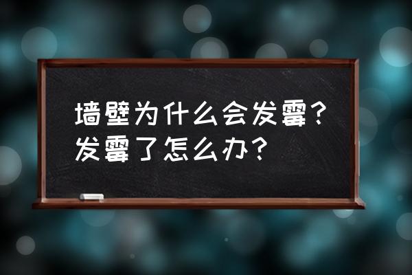 南方的碳源可以用来烧烤吗 墙壁为什么会发霉？发霉了怎么办？